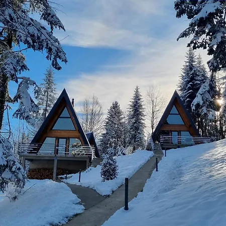 Gorska Bajka - Borovica, Planinska Kuca Za Odmor I Wellness Villa Stara Susica Exterior photo