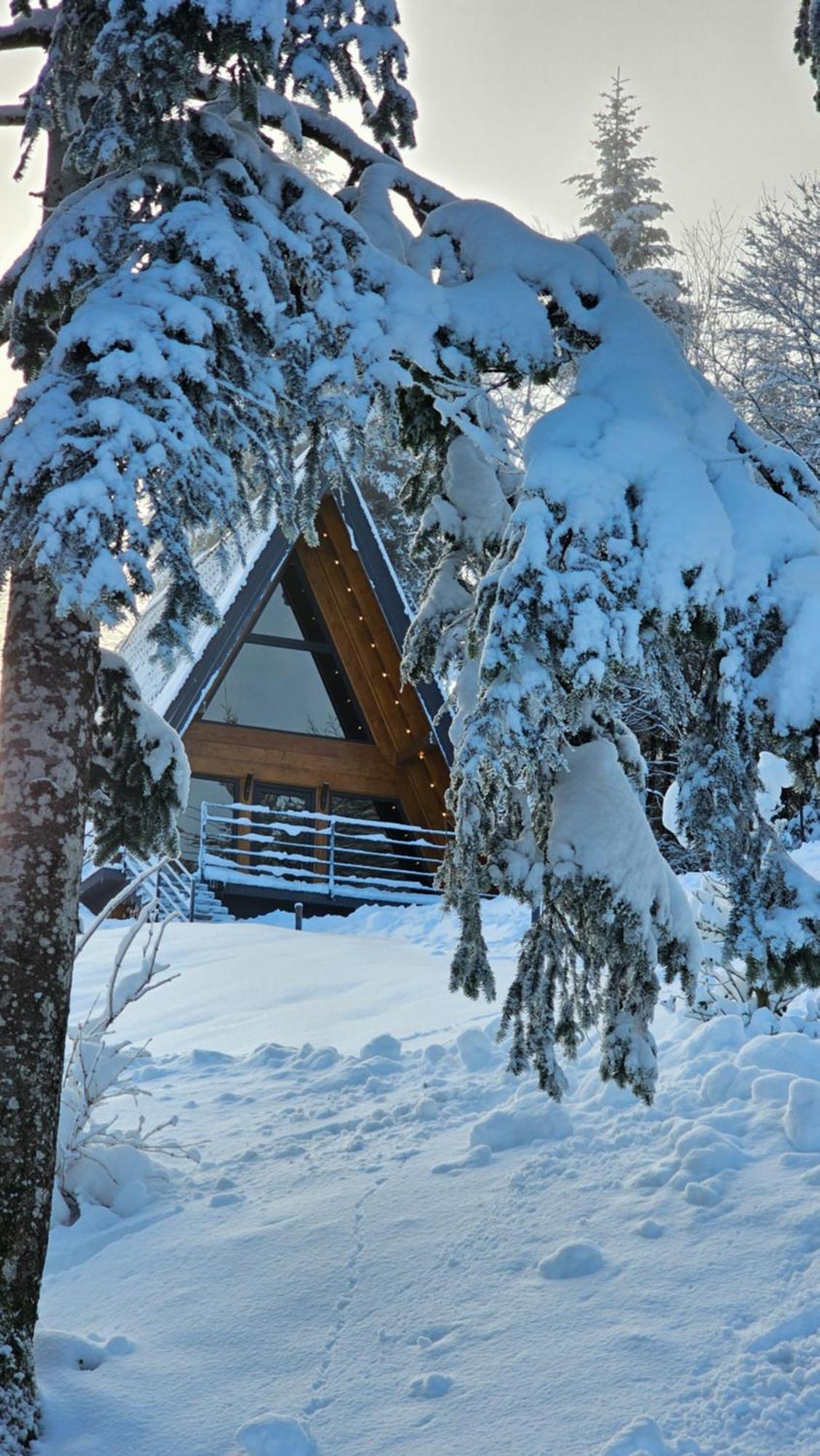 Gorska Bajka - Borovica, Planinska Kuca Za Odmor I Wellness Chalet Stara Susica